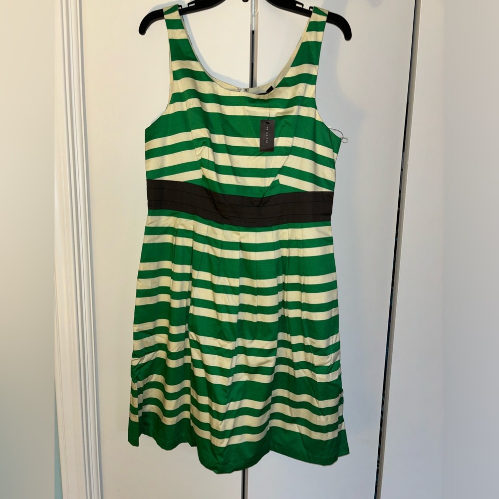 The Limited New With Tags Size 12 Dress